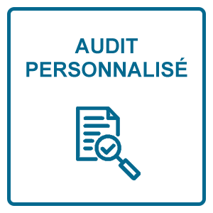 Audit personnalisé
